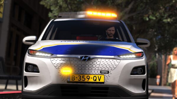 Hyundai Voltic Handhaving