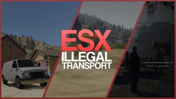 Illegal Transport