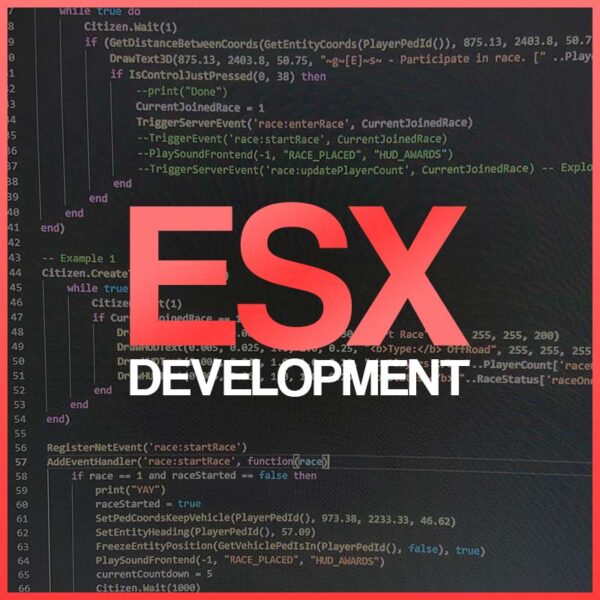 ESX Development