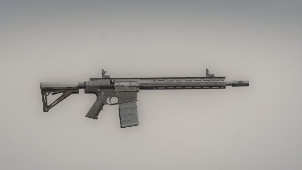SR-25 - Afbeelding 2