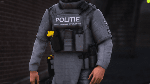 DSI Zware Vesten